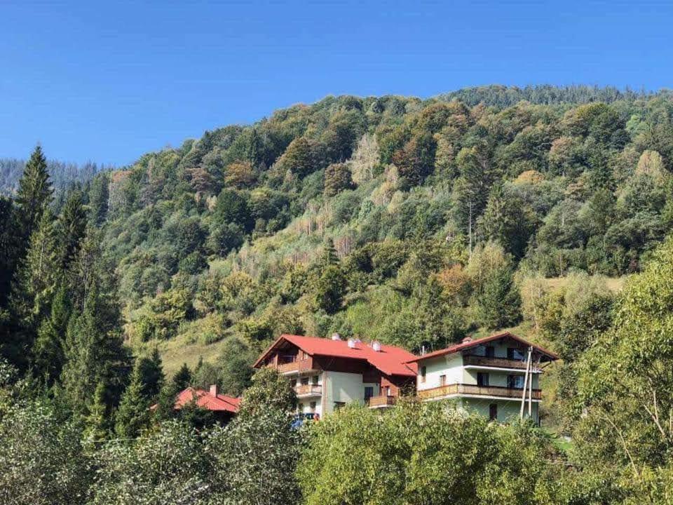 Лісова Казка Hotel Slavske Buitenkant foto